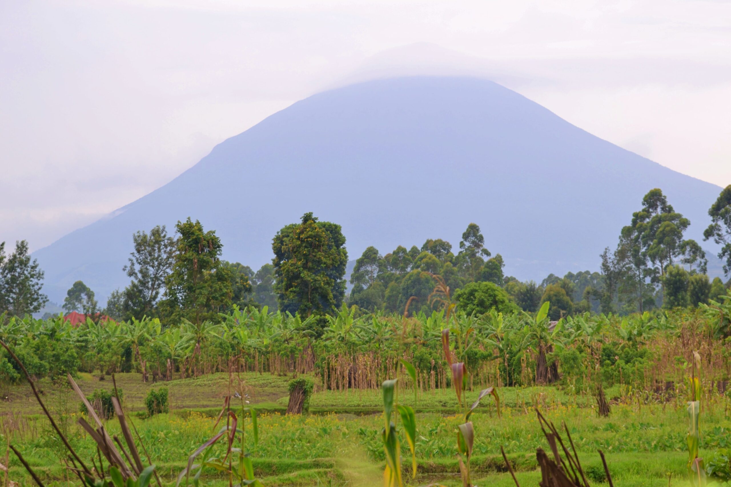 kisoro mountain